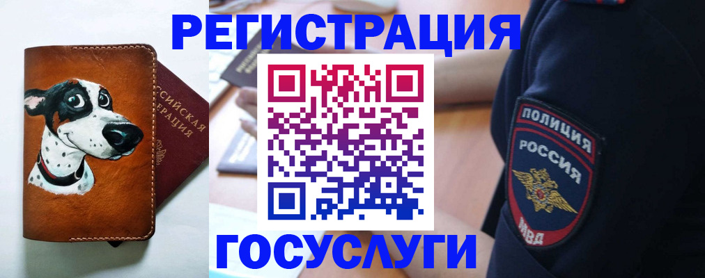 временная регистрация в квартире в Жуковке